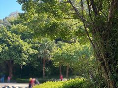 -深圳国际园林花卉博览园