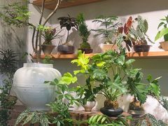 -自由生长植物工作室(深港花卉中心店)