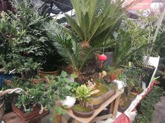 -金陵花卉交易市场