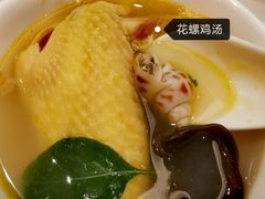 花螺鸡汤-神仙馆(衡山路店)