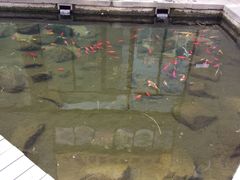 鱼塘-泉乐坊步行街(烟酒特产平价超市店)