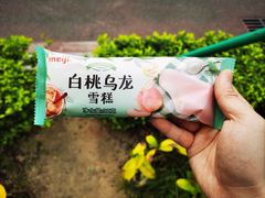 -中山大学附属第五医院