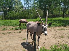 -大连森林动物园