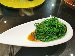 -蒙料·手把肉(望京店)