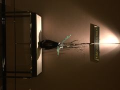 iphone_upload_pic-中山利和希尔顿酒店