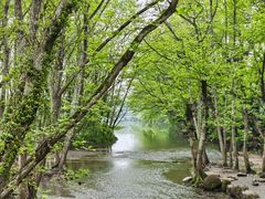 -美兰湖景区