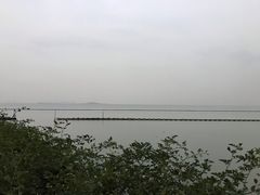 -贡湖湾湿地公园