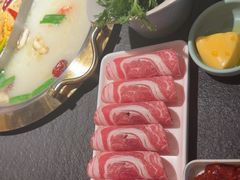-熊喵来了火锅(四平万达第56分店)