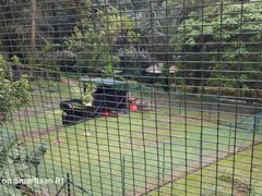 -吉隆坡雀鸟公园