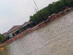 -上海海湾国家森林公园