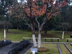 -侵华日军南京大屠杀遇难同胞纪念馆-停车场