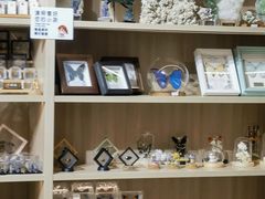 -安徽省地质博物馆