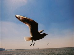 -滇池海埂公园