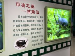 -上海昆虫博物馆