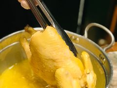 金牌花胶浓汤鸡煲-禄婶鸡煲·打边炉