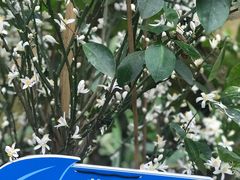 -南山植物园