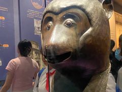 -广西壮族自治区博物馆