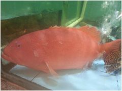 -快乐海鲜城(虎泉街店)