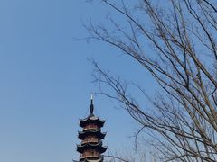-龙华寺