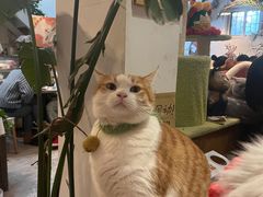 -小时光咖啡馆(北锣鼓巷店)