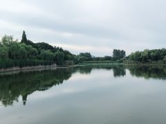 -上海市保健医疗中心(华东疗养院)