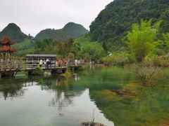-靖西鹅泉风景区