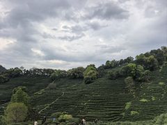 -十里琅珰