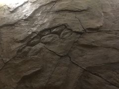 -沐槿宫韩式汗蒸水汇(马群店)