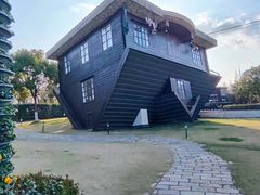 -金山农民画村-枫泾波兰倒置屋
