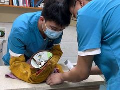 -动物缘宠物医院·骨科·猫科(西二环店)