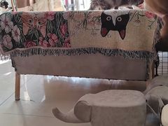 -平行世界·猫咖(首经贸店)