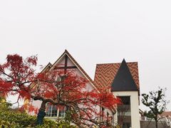 -大塘金香草谷