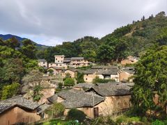-杨家堂村
