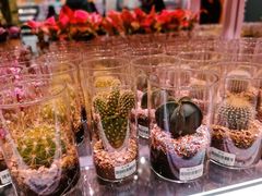 -KKV(深圳宏发大仟里店)