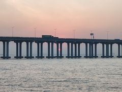 -宝安西湾红树林湿地公园