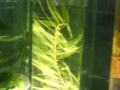 -广东中医药博物馆