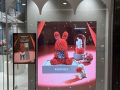 -ROSEONLY诺誓(国际广场购物中心店)