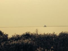 -合肥滨湖国家森林公园