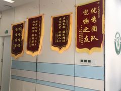 -中农国际动物医院24小时·猫科·骨科·急重症中心
