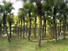 -红旗山庄(圭峰山店)