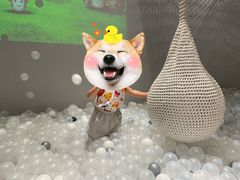 -NOKNOK若蔻亲子餐厅(天地壹方北馆店)