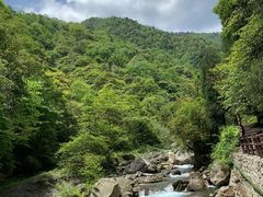 -西岭雪山大飞水景区