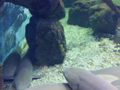 -多彩贵州城极地海洋世界