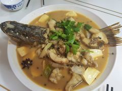 豆腐狗鱼-煲来饱去冷水鱼