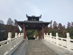 -东湖落雁景区