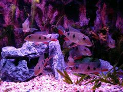 -上海海洋水族馆-停车场