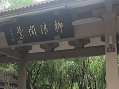 -柳浪闻莺公园