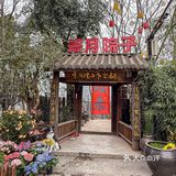 春日限定！！和狗狗经理一起寻味春天…