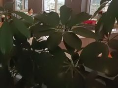 -纪林菜馆·博山菜老字号(华光路店)