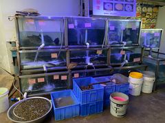 -八仔大富楼·河鲜(西江店)